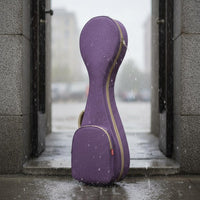 Pipa Case Portable Padded Pipa Bag Anti-Wear Feet Chinese Lute Bag for Storage