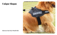 Easy Walk Vest Type Dog Harness Lightweight Dog Harness and Leash Set Heavy Duty Buckle for Dogs, Young Dogs, Outdoor, Daily Use, Training