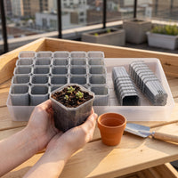 Translucent Gray Plastic Succulent Planter Pot with Tray and Seedling Tray for Balcony Gardening