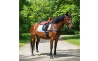 Leather Saddle Padded Doubleequestrian Saddle Balanced for Equestrians
