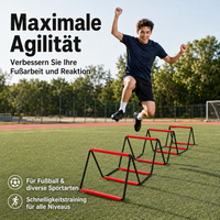 agility ladder