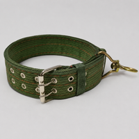 Nylon Webbing Dog Collar, Adjustable, Durable, for Small, Medium, Large Dogs, Walking, Training