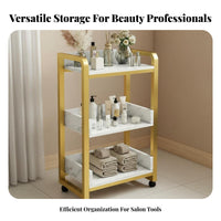 Beauty Salon Trolley Multifunctional Mobile Beauty Trolley Easy to Clean Nail Workstation Cart for Spa Professionals, Massage Therapists, Washroom