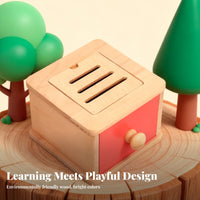 Child-Centered Inspired Object Permanence Box Hand-Eye Coordination Infant Fine Movement Skill Toy Screen-without Screens Entertainment