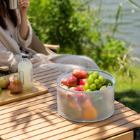 collapsible basin