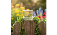 Dual Use Hanging Acrylic Bird Bath Lightweight Hanging Acrylic Bird Feeder Crack Resistant Parrot Feeder Box Easy to Install for Parrots, Small Birds, Aviary