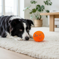 Textured Interactive Dog Ball Durable Interactive Pet Ball Lightweight for Fetch
