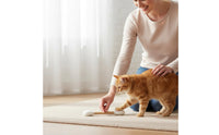 Feline Swab Toy Rod-Like Pet Plaything