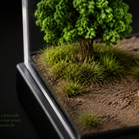 Display Diorama Base with Acrylic Display Case Dustproof Miniature Scene Base Compact for Hobbyists