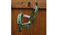 Horse Halter Reinforced Synthetic Leather Halter Padded Tack for Riders, Stable, Training