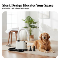 Cat and Dog Dryer Quick Dry High Power Dog Blower Low Noise Design High Power Pet Dryer for Professional Groomers, Home Use