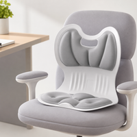 back support cushion