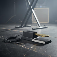 High-Polish Finish Sustain Pedal Electronic Piano Foot Pedal Musical Instrument Accessory for Music Producers