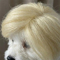 Blonde Pet Hairpiece Buttery Blonde Dog Hairpiece Halloween Costume for Photo Photography, Party