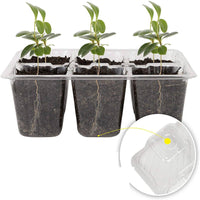 High Clarity Lid 12 Cell Starter Tray Clear View Design 12 Cell Seedling Starter Kit Built-in Drainage Seedling Tray with Humidity Dome Reusable for Home Gardeners, Beginners, Indoor