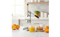 No Electricity Stainless Steel Hand Juicer Easy to Clean Orange Juicer High Yield Hand Crank Juice Press Rubber Feet