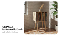 Vinyl Album Storage Rack Vintage Design Vinyl Album Storage Cabinet for Study