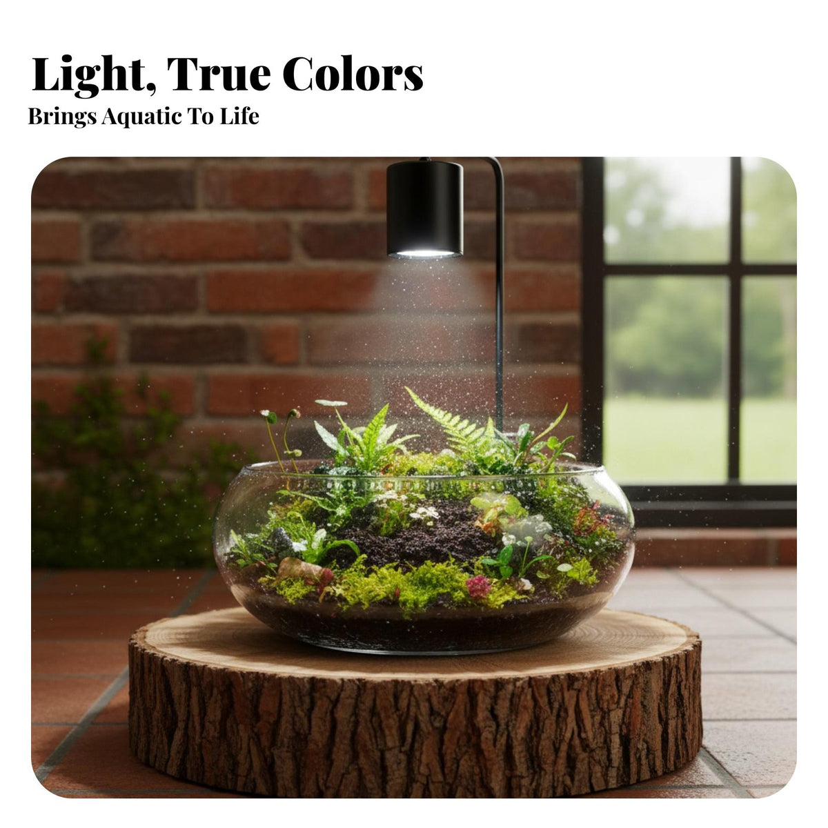 Aquarium Plant Light Compact Aquarium Light with Clamp Adjustable Targeted Lamp for Hobbyists, Planted Tanks, Aquascapes