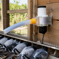 pet feeder