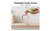 Nordic design Geometric Tillandsia Holder Minimalist Design Geometric Air Plant Holder Modern artistic surface-top Decoration adaptable for Home Decorators, Gift Shoppers, Office Workers, Table Centerpiece, Desktop, Living Room, shelf