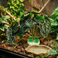 Realistic Artificial Plants for Aquatic Tank Decorations, 15cm Faux Plant with Weighted Base Reptile Habitat Decor for Terrariums