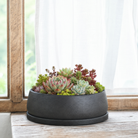 planter pots