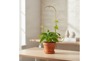 Climbing Plant Trellis Arched Metal Plant Support Tall Climbing Trellis for Planter