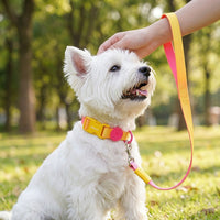 Dog Leash Night Walk Large Dog 1.5m Waterproof Polyester Lemon Yellow Snap Closure