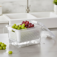 Japanese-Style Double-Layer Draining Storage Box for Refrigerator, Vegetable and Fruit Crisper