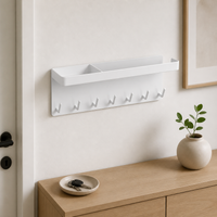 Metal Wall Mounted Key Holder with Shelf, Carbon Steel Key Hanger, Suction Cup Hook for Kitchen, 9.5cm x 7cm x 28cm, 1 Tier