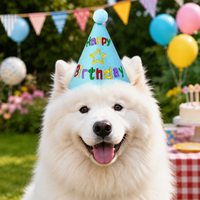 Dog Birthday Goods, Birthday Hat, Felt, Embroidered, For Large Dogs, 15cm