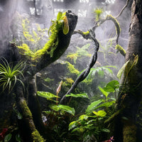 50cm Textured Dark Brown Terrarium Vine, Climbing Animal Habitat Vine for Jungle Enclosures, Modular Wrappable Decor