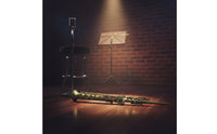 Straight Saxophone with Carrying Bag B♭ Soprano Saxophone Antique Woodwind for Rehearsal