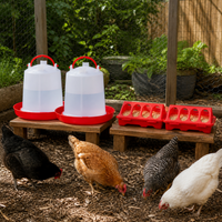 12-Piece Poultry Feeder and Waterer Set with Flip-Top Design for Chickens, Ducks, and Geese