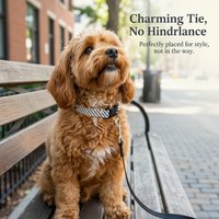 Pet Cat Dog Bow Tie Collar Adjustable for Small Dogs & Cats, Lightweight Gentleman Wedding Decoration