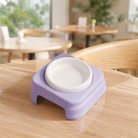 Elevated Pet Bowl, Ceramic Cat Food Bowl with Stand, 175ml Anti Vomit Shallow Dish for Felines & Small Dogs