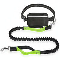 Shock-Absorbing Waist Leash Reinforced Stitching Pet Gear for Walking