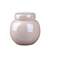 Pet Remains Urn Water-Resistant Cat Dog Remains Container