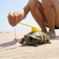 Tortoise Harness and Leash Support Bracket Turtle Leash Dangling Tether Turtle Harness for Exercise