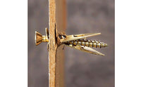 4 Pieces Drywall Anchor Rustproof Expansion Screw High Carbon Steel Metal Drywall Plug for Wood Board, Ceiling
