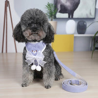 Retractable Dog Leash and Harness Set for Small Pets, Soft Bow Harness Leash for Walking and Training, Puppy Leash and Vest for Daily Outings