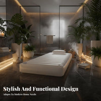 Massage Water Bed Constant Temperature Inflatable Water Mattress Frosted Finish Waterbed Bladder for Adults, Washroom, Spa, Home