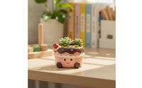 Cute Succulent Planter Playful Cartoon Planter Whimsical Succulent Flower Pot Compact for Students, Desk, Dorm Room
