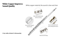16 Key C Flute Student Flute Complete Kit for Adult Learners, Amateur Artists, Music Class, Band Practice, Live Performance