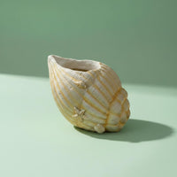 Resin Shell Flower Pot Minimalist Coastal Shell Planter Decorative