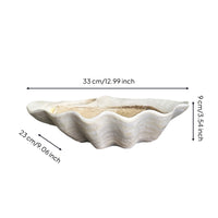 Clam Shell Bowl Coastal Shell Bowl Decor Sea-Inspired Scalloped for Home Decorators, Coffee Table, Entryway Console