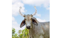 Secure Clamp Silicone Cow Antler Cover Cow Antler Cover Easy to Install Sturdy for Farm, Ranch