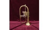 Flugelhorn with Case Rich for Beginners, Rehearsals