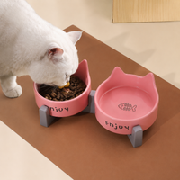 Elevated Ceramic Dog Bowls with Stand, Double Cat Bowls for Neck Strain, Spill-resistant Pet Feeding Station for Digestive Issues