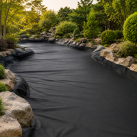 HDPE Geomembrane Sheet, Waterproof Liner for Ponds, Landfills, Disposal Sites, Lakes, Reservoirs, Black
